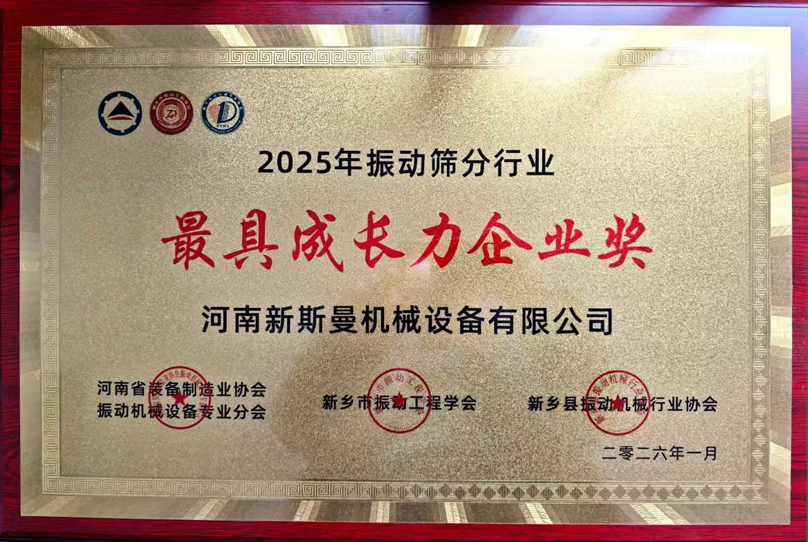 2025年振動(dòng)篩分行業(yè)最具成長力企業(yè)獎(jiǎng)